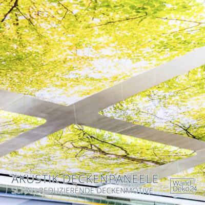 Schall Akustik Bilder Decke eigenes Design gestalten